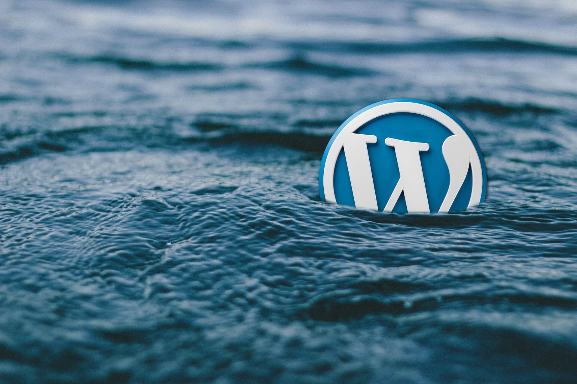 wordpress-588495_1920 (1)