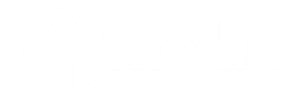 חברת לידים
